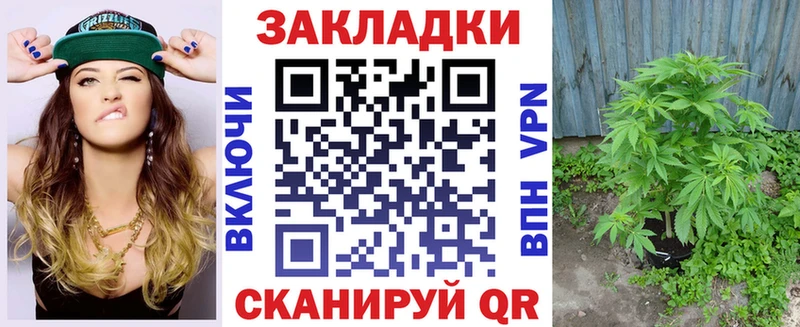 МЕФ Смоленск