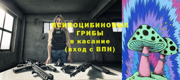дурь Гусь-Хрустальный