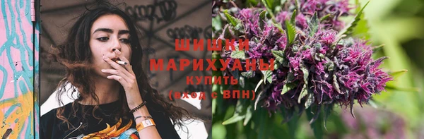дурь Гусь-Хрустальный